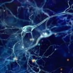 Как можно озвучить видео при помощи нейросети: пошаговый гайд