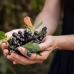 Почему теперь на Вайлдберриз оплата картой: все причины