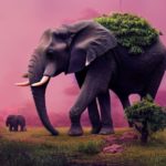 Добавляем Midjourney на собственный сервер: что делать