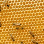 Примеры структуры сайта и ее влияние на SEO