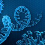 Антивирус - этого мало, нужны дополнительные меры защиты